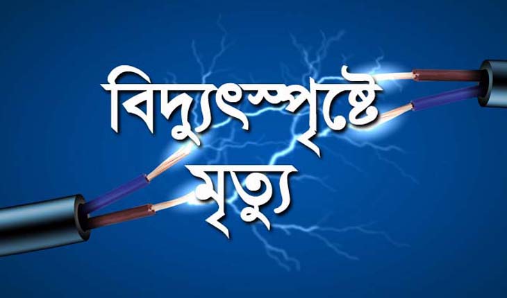 টাঙ্গাইলে পূজা দেখতে গিয়ে যুবকের মৃত্যু