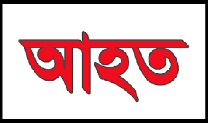 নাটোরে পাওয়ার ট্রলি উল্টে আহত ২