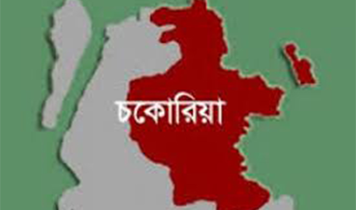 চকরিয়া উপজেলা পরিষদের নির্বাচনী প্রচারণা