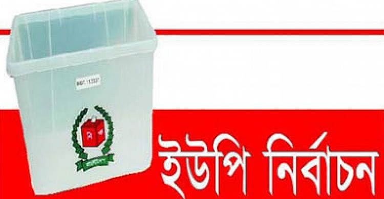 টাঙ্গাইলের ১৮ টি ইউপি নির্বাচনে আ’ লীগ ১