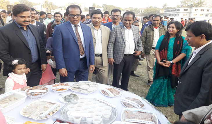ঝিনাইদহে জমজমাট পিঠা উৎসব ও ঘুড়ি ওড়ানো প