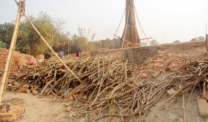 অবৈধ ইটভাটায় পুড়ছে হাজার হাজার মন কাঠ