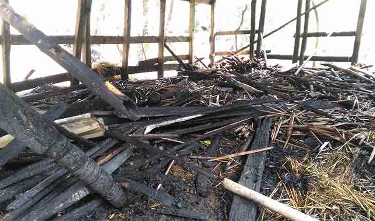 বাগেরহাটে কচুয়ায় গোয়াল ঘরে অগ্নিসংযোগ বাগেরহাটে কচুয়ায় গোয়াল ঘরে অগ্নিসংযোগ