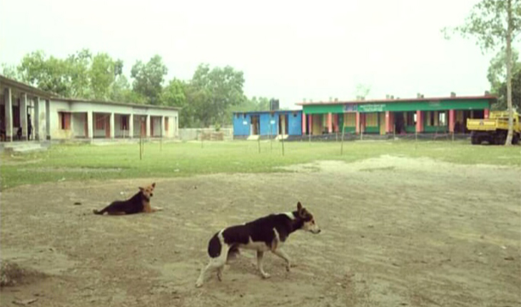 গোপালপুরে শান্তিপূর্ণ নির্বাচন চলছে অধিক