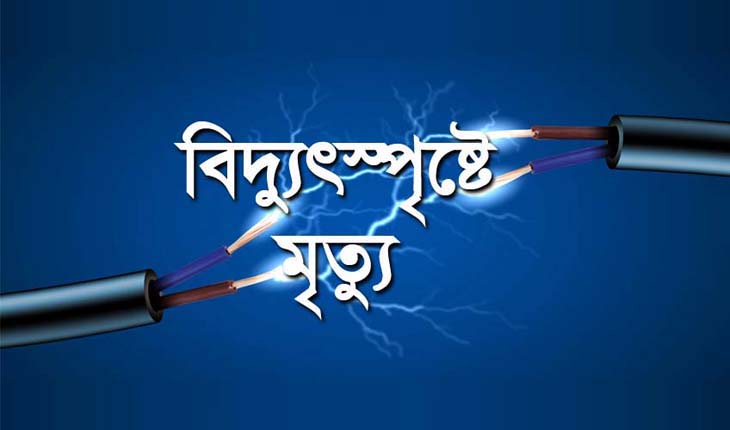 টাঙ্গাইলে বিদ্যুৎস্পর্শে ২ ভাই নিহত