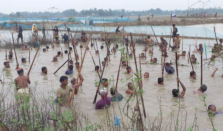 সখীপুরে শাইল-সিন্দুর খালে মাছ ধরা উৎসব