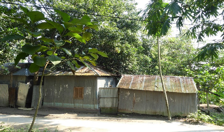 গাছ না কেটেও মামলার আসামী  বৃদ্ধ আব্দুল