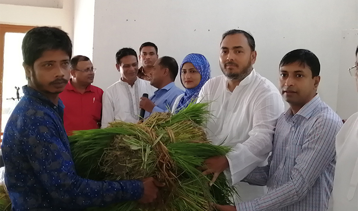 বন্যায় ক্ষতিগ্রস্থ কৃষকদের মাঝে ধানের চারা বিতরন বন্যায় ক্ষতিগ্রস্থ কৃষকদের মাঝে ধানের চা
