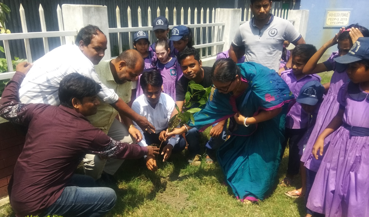কালিহাতীতে শিক্ষা প্রতিষ্ঠানে গাছের চারা