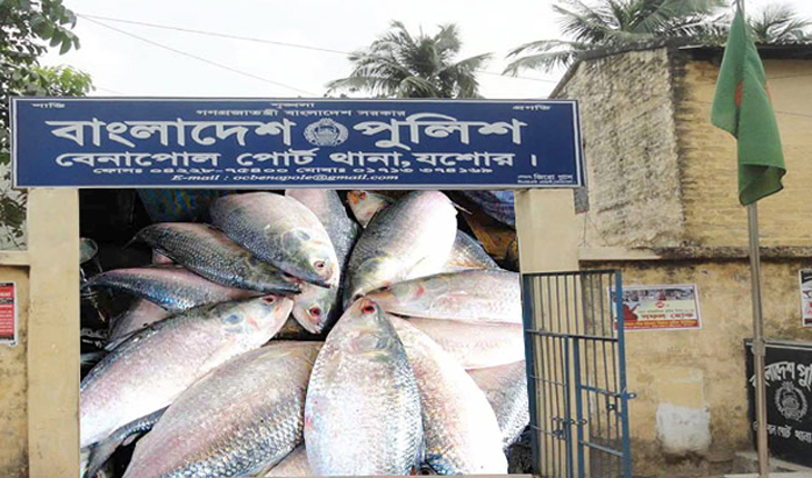 ৩০ কেজি ইলিশমাছ ভারতে পাচারের সময় গ্রেফতার-২ ৩০ কেজি ইলিশমাছ ভারতে পাচারের সময় গ্রেফত