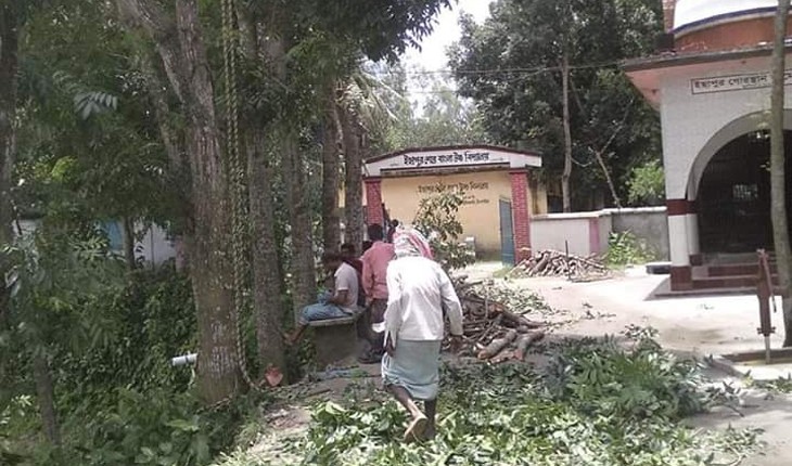 কালিহাতীতে রেজুলেশন ছাড়াই  স্কুলের ১০টি