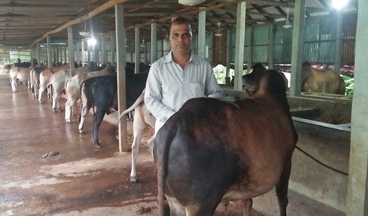 ২ গরু নিয়ে খামার শুরু; এখন ৫২টি