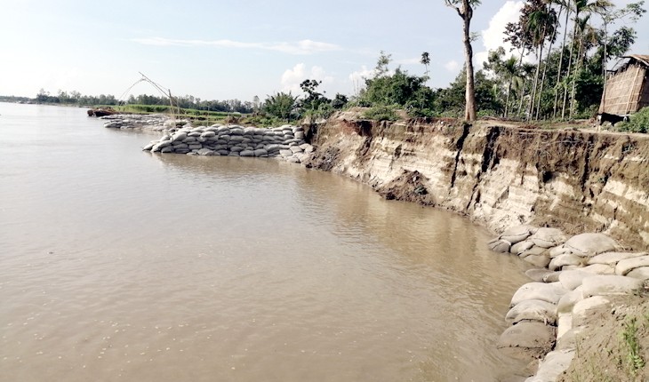 যমুনায় বাড়ছে পানি, ভাঙনের কবলে ঘর-বাড়ি ও