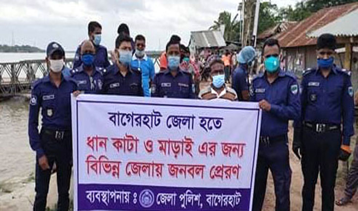প্রধানমন্ত্রী নির্দেশনায় কৃষকের পাকা ধান