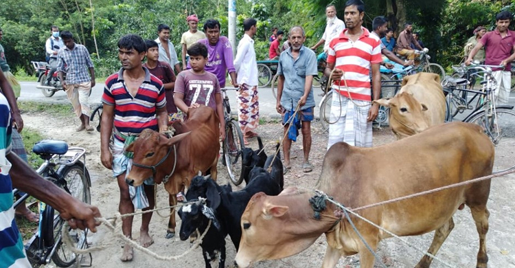 গরু চোরকে গণধোলাই দিয়ে পুলিশে সোপর্দ
