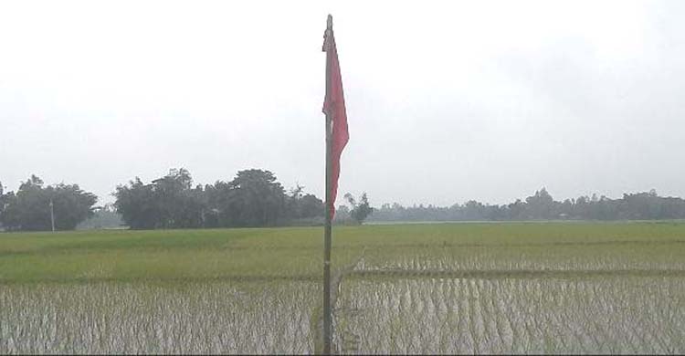 শেরপুরের অভিনব কায়দায় জমি বেদখলের চেষ্টা