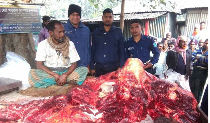 ভূঞাপুরে অসুস্থ গরু জবাই,ভ্রাম্যমান আদাল