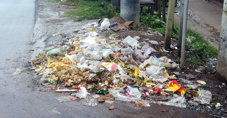 মির্জাপুরে আবর্জনা ফেলার নির্ধারিত নেই ক