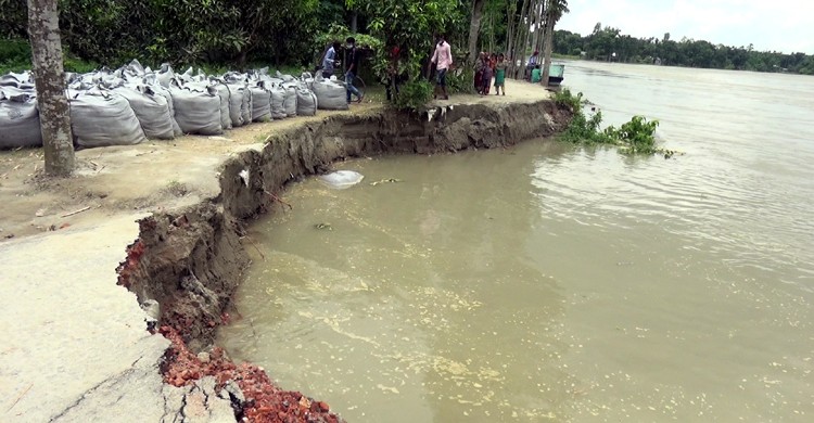 হুমকির মুখে টাঙ্গাইল শহর রক্ষা বাঁধ