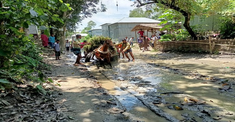 একটি রাস্তার জন্য দুর্ভোগে ২ গ্রামের মা