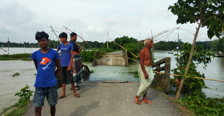 টাঙ্গাইলে পানির স্রোতে ভেঙে পড়ল কালভার্ট