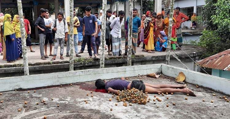 টাঙ্গাইলে সুপারি চুরি করতে গিয়ে গাছ থেকে