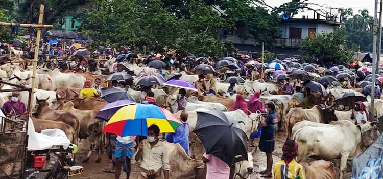 শার্শার বাগআঁচড়া সাতমাইল পশুর হাট বন্ধ ঘ