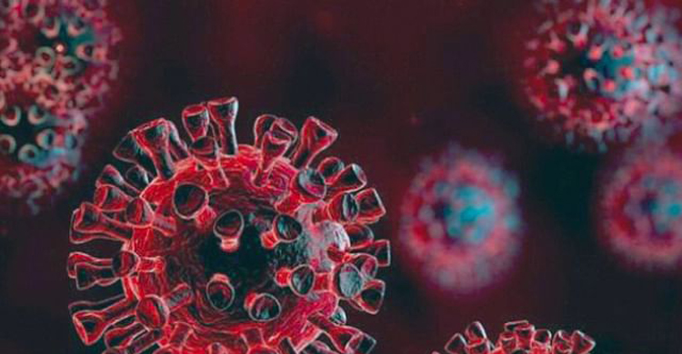 ওমিক্রন ঠেকাতে স্বাস্থ্য অধিদপ্তরের ১৫ দ