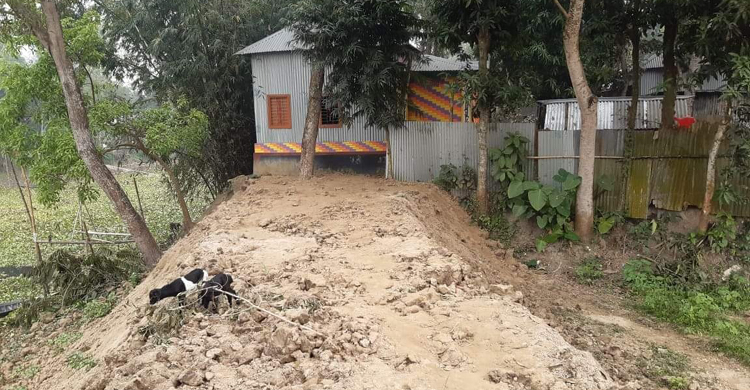 কালিহাতীতে ফসলী জমির ওপর দিয়ে  জোরপূর্বক রাস্তা নির্মাণের অভিযোগ কালিহাতীতে ফসলী জমির ওপর দিয়ে  জোরপূর্ব