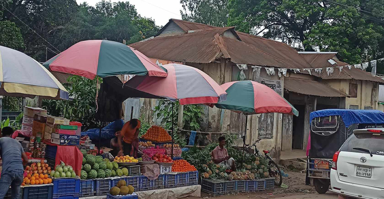 সখীপুরে ব্যবসায়ীদের দখলে হাসপাতাল