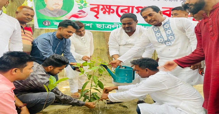 টাঙ্গাইলে বৃক্ষ রোপন কর্মসূচি ও বিতরণ কা