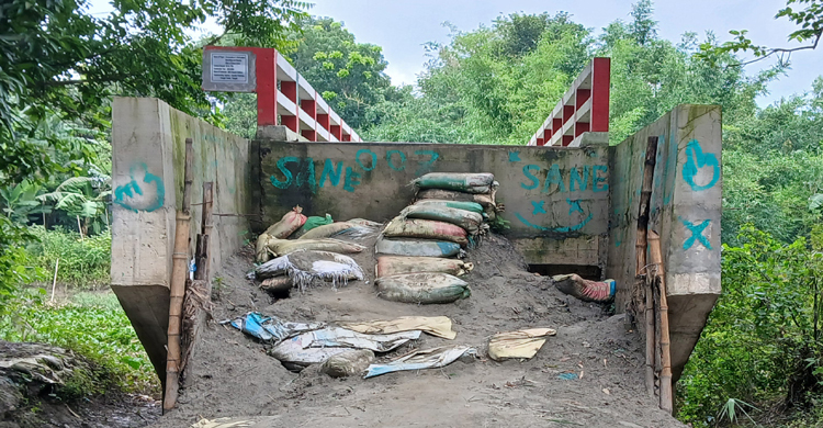 টাঙ্গাইলে সেতুর সঙ্গে সড়ক নেই 